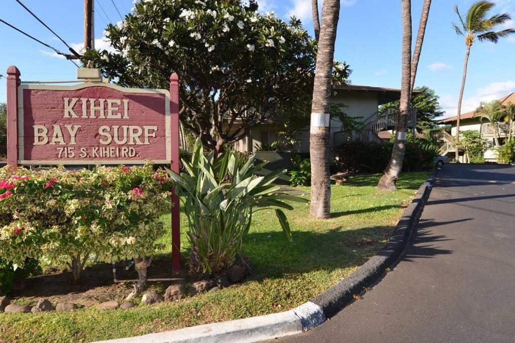 Maui Diver's Dream At Bay Surf Kīhei