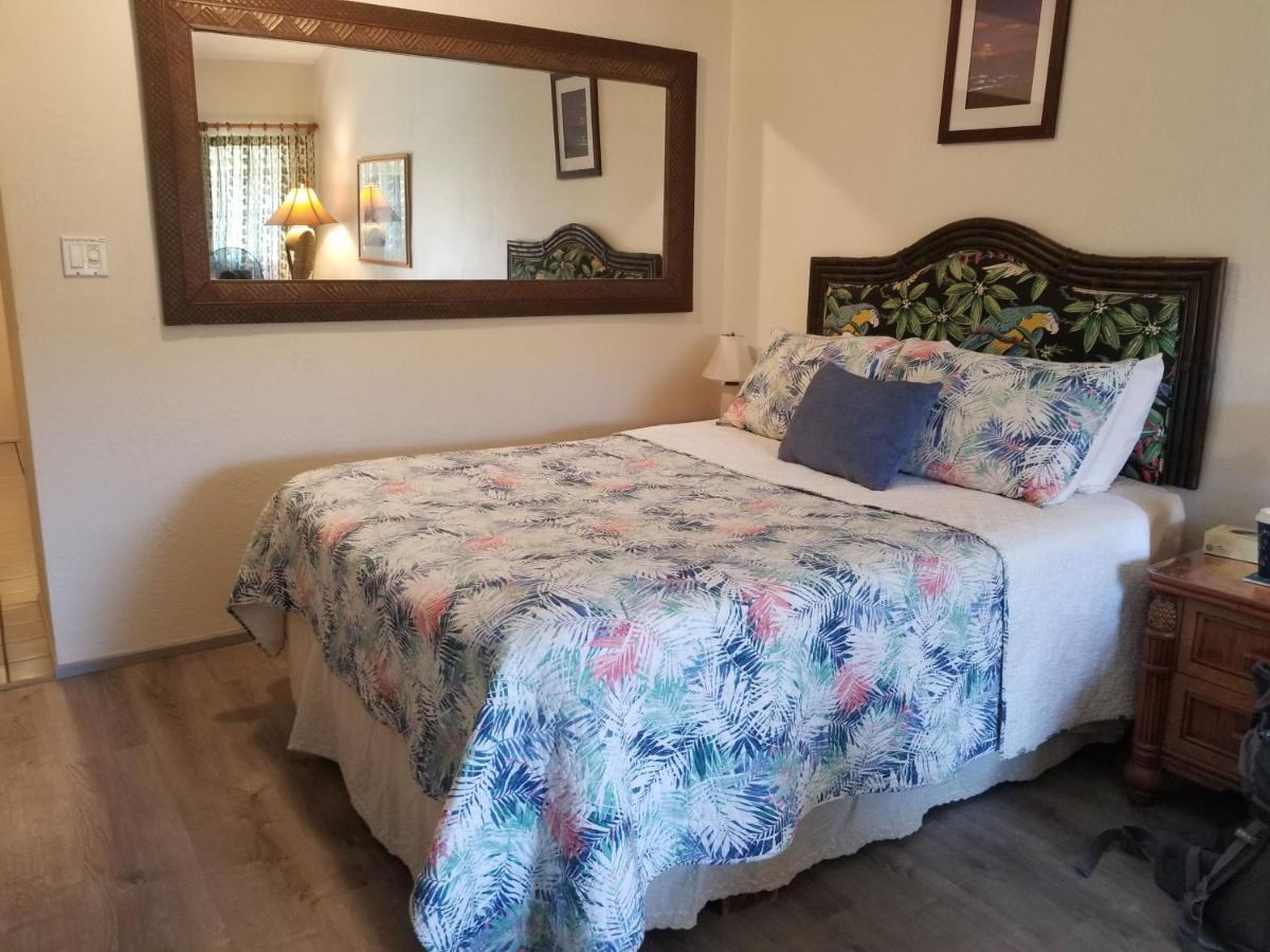 Maui Diver's Dream At Bay Surf Apartment Kīhei